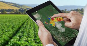 Agricultura de precisão traz inovação tecnológica para o campo