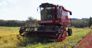 Sinal continua verde para o agronegócio brasileiro