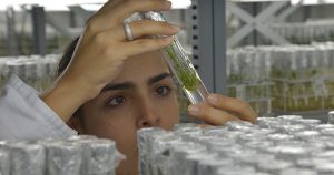 Falta de investimentos na área de biotecnologia coloca o Brasil na contramão mundial