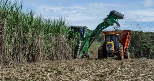 Brasil tem grande potencial para aumentar a produção do etanol