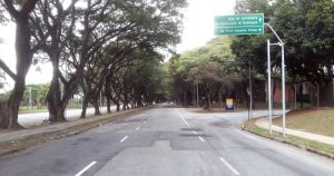 Além de amenizar o clima, arborização urbana reduz a poluição e ajuda no controle de arboviroses