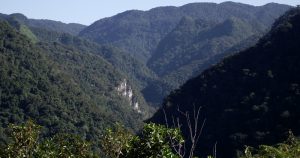 No Vale do Ribeira, moradores ganham formação ambiental da USP