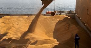 Brasil ultrapassa EUA na liderança da produção mundial de soja