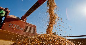 Produção de grãos ultrapassa a marca de 226 milhões de toneladas em 2017