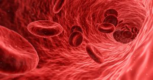 Reprogramação de células é caminho para estudar e tratar anemia