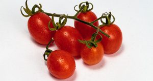 Estudo obtém tomates sem semente