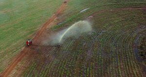 Efluentes líquidos podem irrigar e fertilizar lavoura
