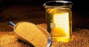 Empresa brasileira inicia produção de etanol a partir da soja