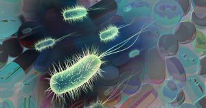 Pesquisadores falam da busca científica para combater superbactérias