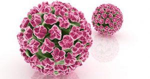 Estudo relaciona vírus HPV com mais um tipo de câncer