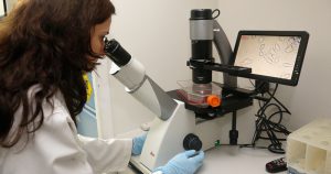 Indústrias biotecnológicas utilizam metodologia com fragmentos peptídicos