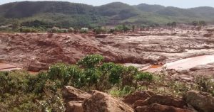 Arroz cultivado na lama da Samarco é mais pobre em nutrientes