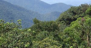 Espaços no entorno das serras paulistas vêm sofrendo degradação e necessitam maior proteção
