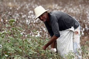 Pastoral da Terra e a defesa dos trabalhadores rurais é tema do “Ambiente É o Meio”