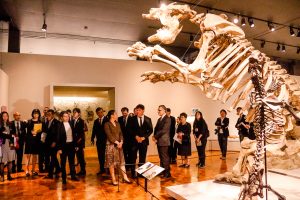 Princesa Mako do Japão visita Museu de Zoologia