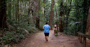 Atividade física pode evitar 10 mil casos de câncer ao ano no Brasil