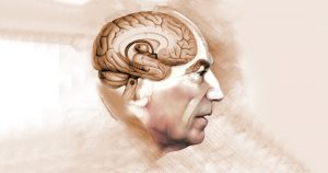 Banco de cérebros da USP ajuda no diagnóstico de Alzheimer