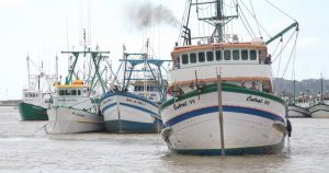 Frotas pesqueiras do Brasil precisam de administração mais eficaz