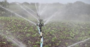 USP Lecture aborda importância da qualidade da água na agricultura
