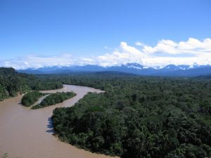Preservação da Amazônia é um assunto sério, alerta pesquisador