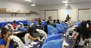 Jurassic Férias traz atividades de paleontologia em Ribeirão Preto