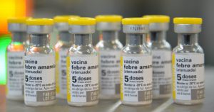 Febre amarela: vacina é a única forma de combate