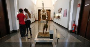Vida e obra de Darwin são temas do Museu de Zoologia em fevereiro