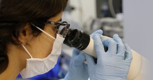 Cientistas da USP em Ribeirão Preto apresentam avanços em epigenética
