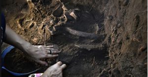 Escavação em comunidade amazonense é mostrada em websérie