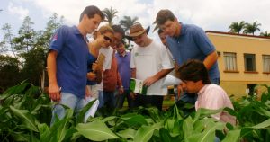 USP em Piracicaba tem vagas de pós-graduação em ciências e agricultura