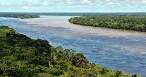 Águas amazônicas estão contaminadas com arsênio, diz pesquisadora