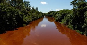 Rio Paraopeba está morto e perda de biodiversidade é irreversível