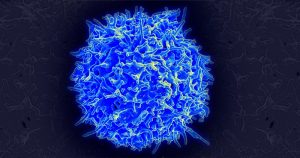 Descobertas mutações responsáveis por tipo raro de linfoma