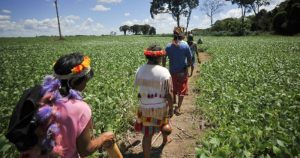 Povos tradicionais e suas práticas agrícolas são tema de evento