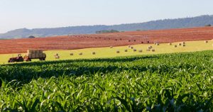 Brasil é potência agrícola mas precisa vencer desafios
