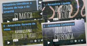 Inpe produz vídeos para divulgar impactos da Amazônia sobre clima