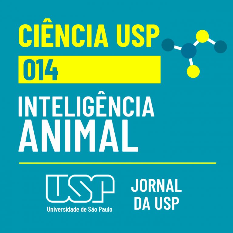 Ciência USP #14: Inteligência animal