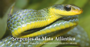Serpentes da Mata Atlântica são protagonistas de guia ilustrado