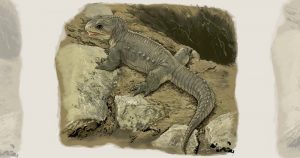 Sob a sombra dos dinossauros: descoberto fóssil de pequeno réptil do Triássico