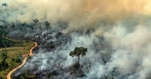 Ambiente úmido da Amazônia não favorece incêndios naturais