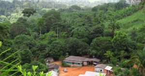 Regulamentação fundiária premia atividades criminosas na Amazônia