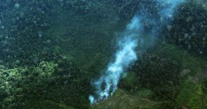 A Floresta Amazônica pode desaparecer