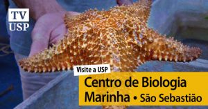 Visite a USP: público pode conhecer centro de biologia marinha em São Sebastião
