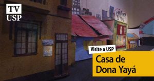 Visite a USP: no centro de São Paulo, casa de Dona Yayá reúne arte e arquitetura