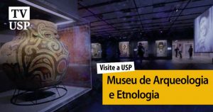 Visite a USP: achados arqueológicos ajudam a contar a história da humanidade