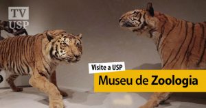 Visite a USP: museu tem um dos maiores acervos zoológicos da América Latina