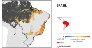 Mapas identificam melhores regiões para restaurar florestas tropicais; Brasil lidera hotspots para recuperação