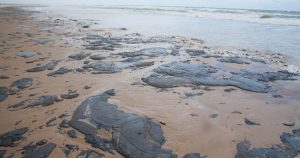 Vazamento de óleo no litoral brasileiro continua sem conclusões, um ano depois