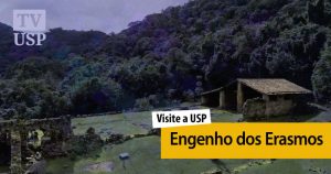 Visite a USP: engenho de açúcar de 1534 é atração de passeio em Santos