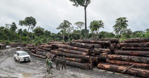 Na Amazônia, desmatamento avança nos momentos de instabilidade política